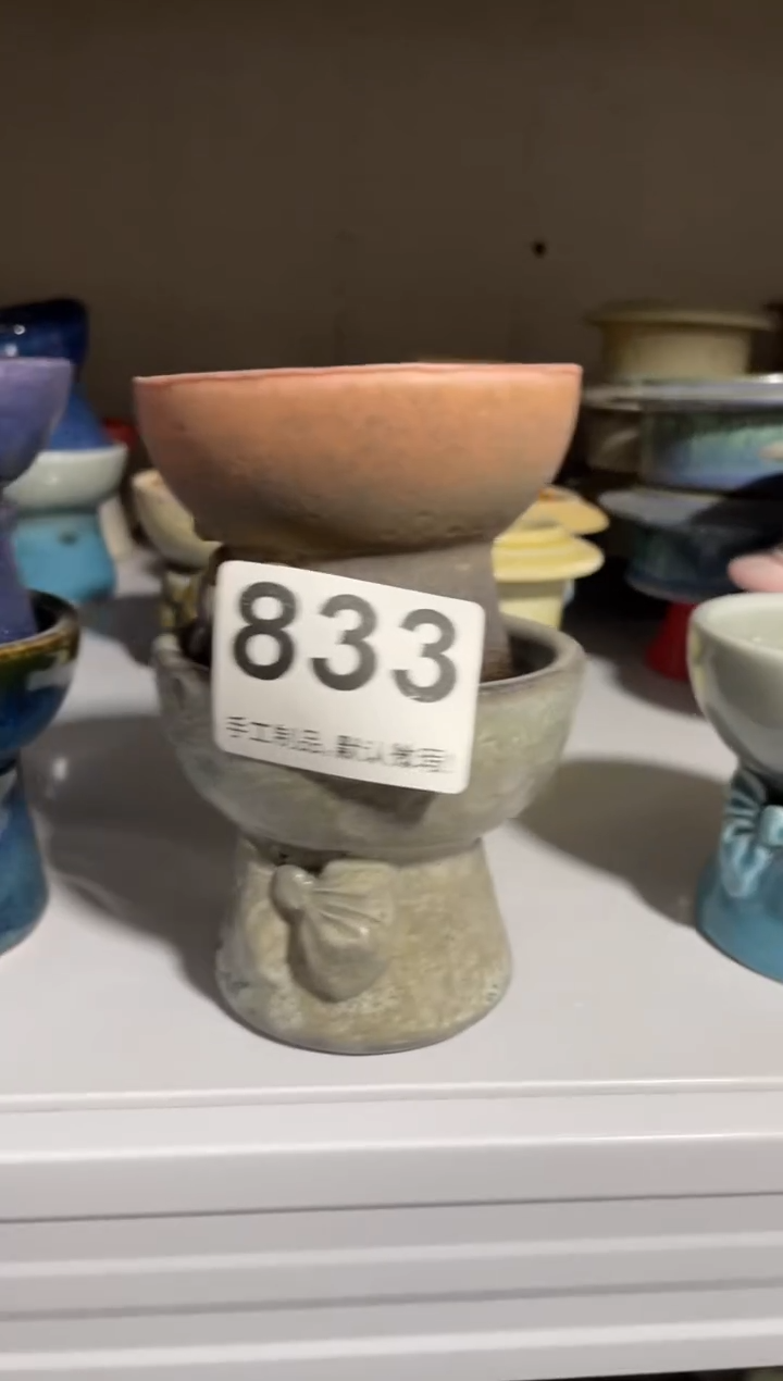 瓷片雪****斯微瑕833知木小芳花盆