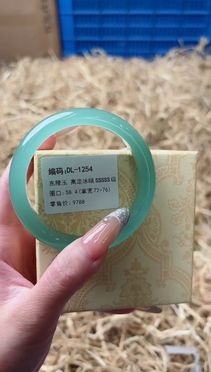 未镶嵌手镯石英质玉DL-1254