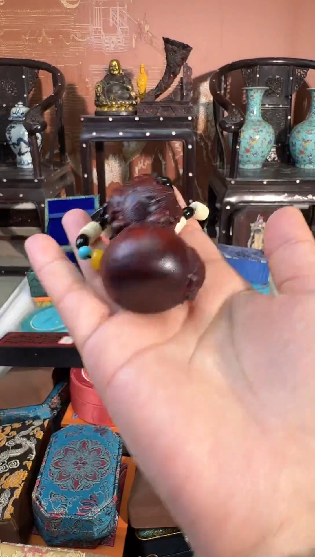 老板娘推荐------------