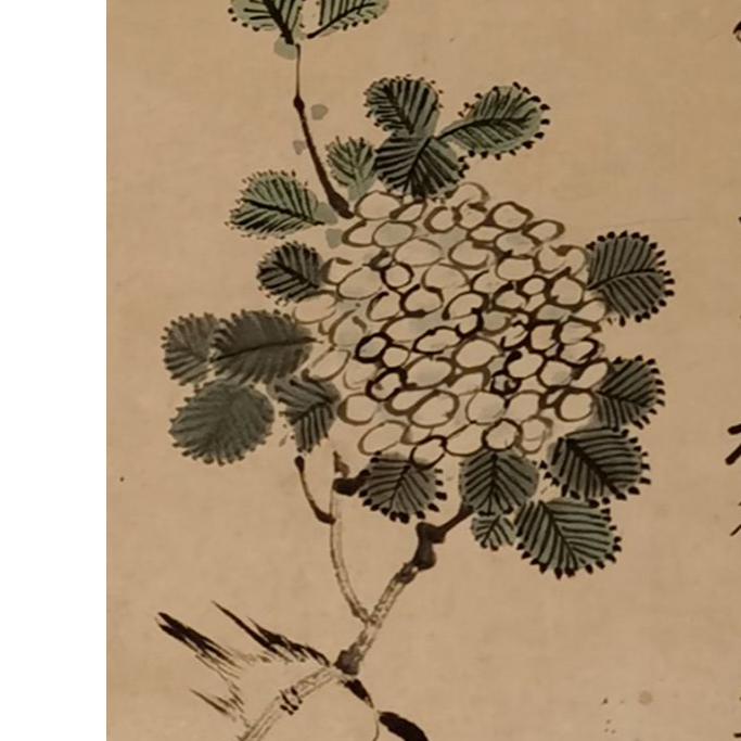 【辽拍美术】花鸟  V240722-3-09  2.7平尺   纸本镜片   lj1127