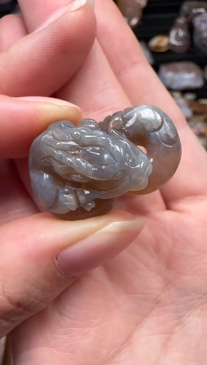 颈饰未镶嵌硅化珊瑚（珊瑚玉）763