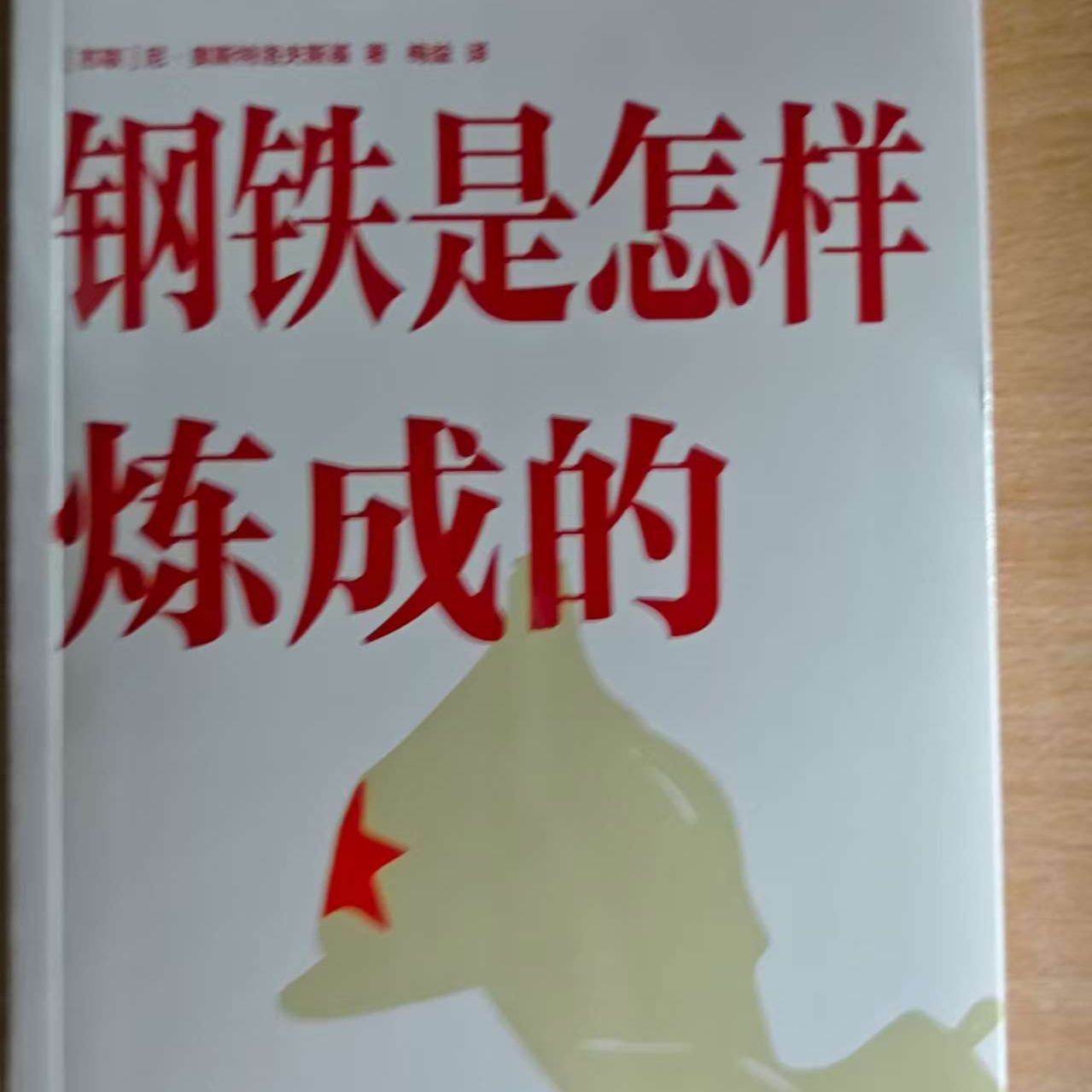 钢铁是怎样炼成的尼·奥斯特洛夫斯基著语文教材推荐读物