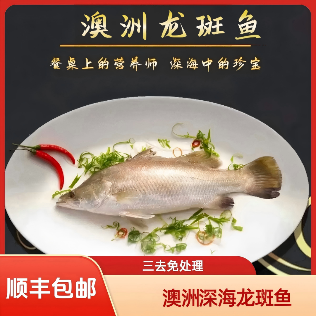 龙斑鱼/游龙斑 三去开背净重450~500g/条  4条 顺丰冷链包邮