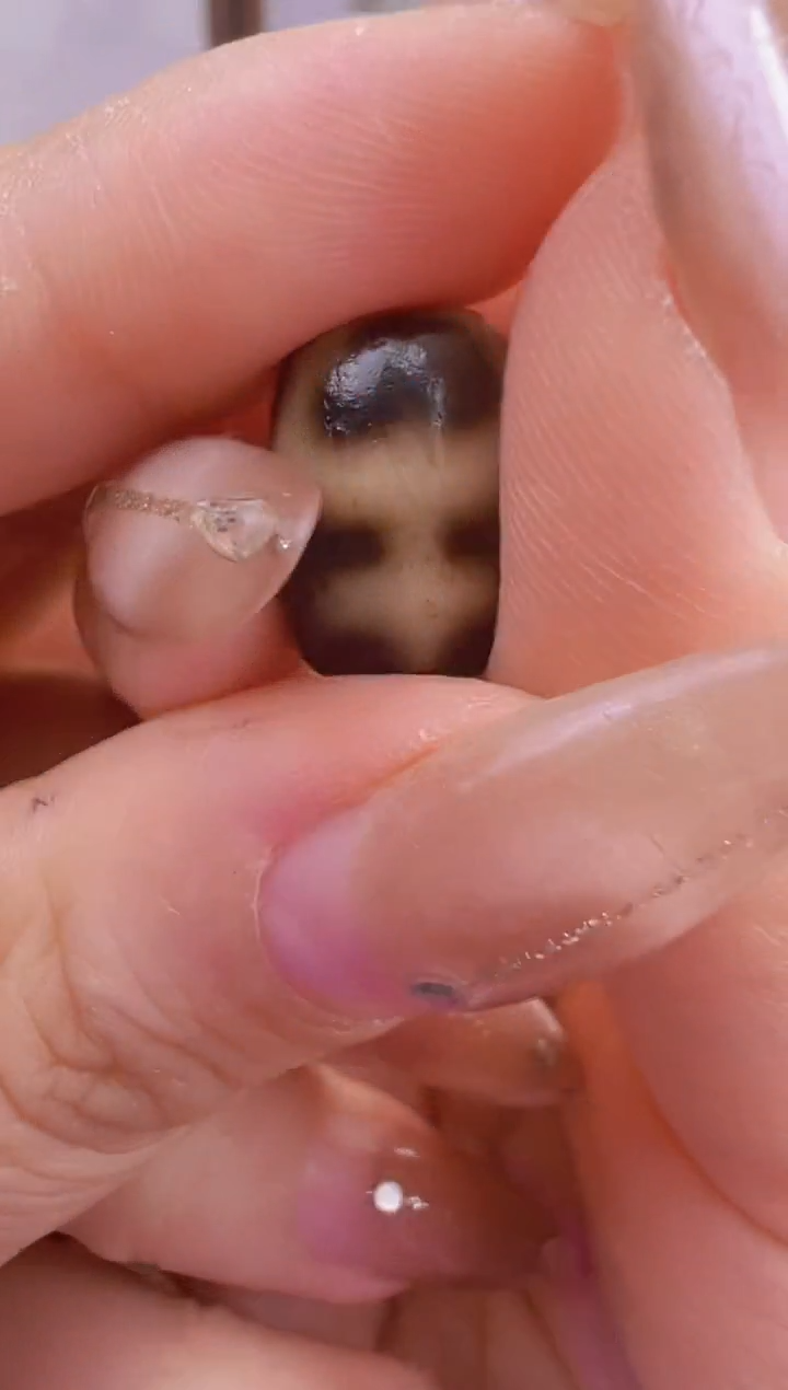 【闪购商品】玛瑙/玉髓吊坠(不含链)未镶嵌20.(微瑕随机发货)