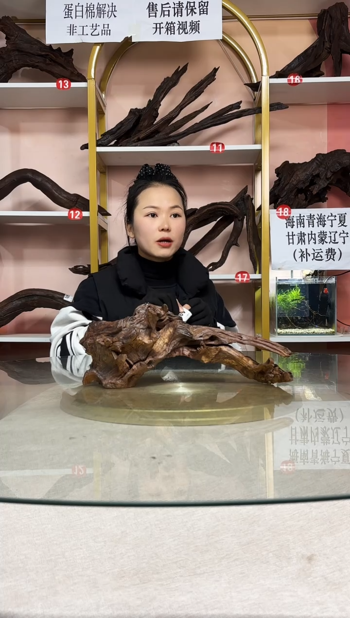 小**师鱼缸造景沉木A 960