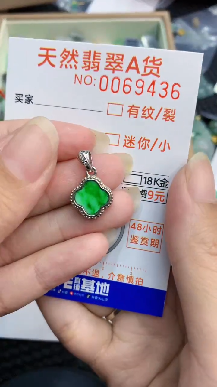 【闪购商品】翡翠颈饰银S925镶嵌            8