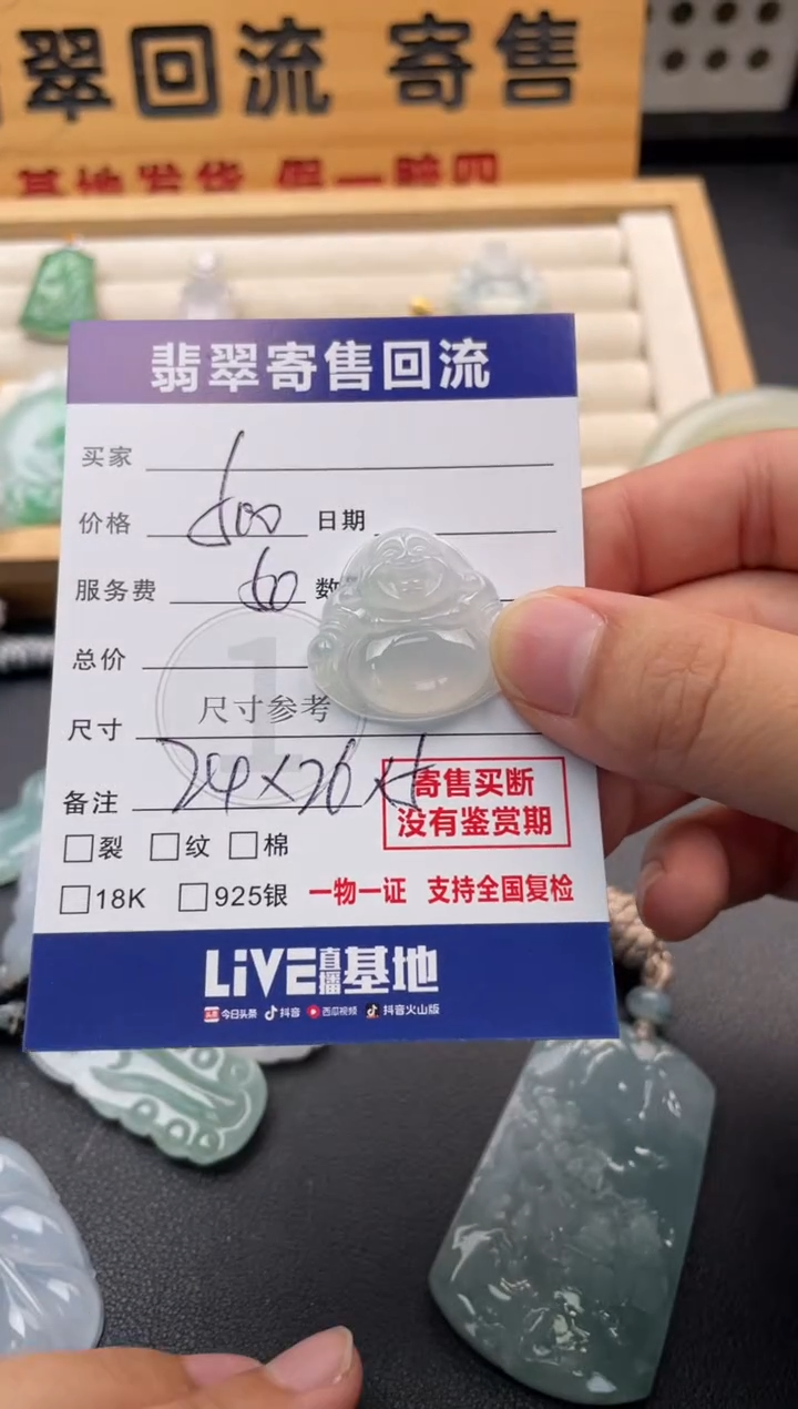 颈饰未镶嵌翡翠10147662