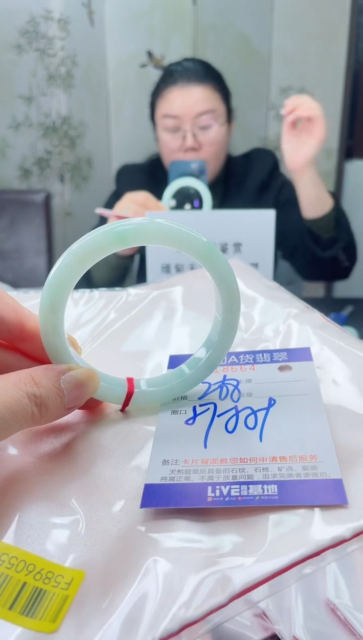未镶嵌手镯翡翠2