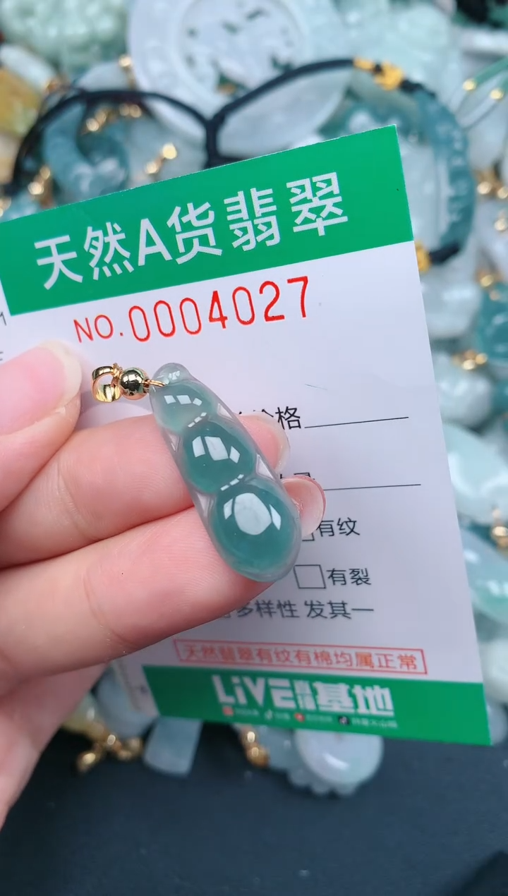 翡翠未镶嵌颈饰.0004027