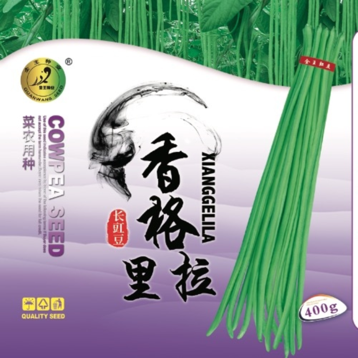 香格里拉豇豆种   400克  高产中早熟  豆荚翠绿油亮  连续结荚强