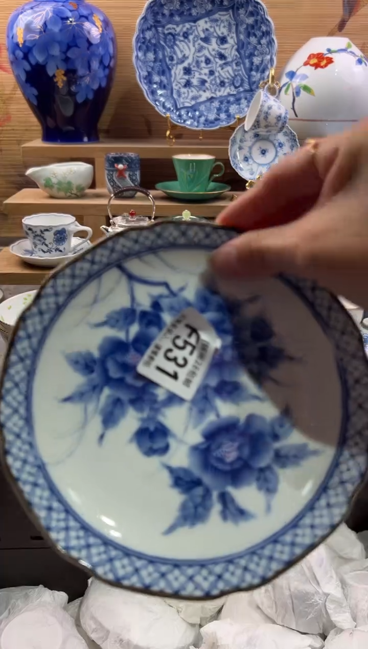 瓷片莲       F531