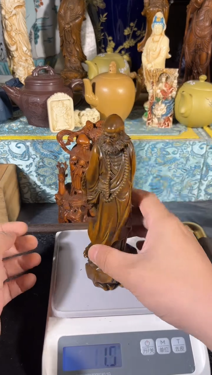 黄杨木1111111111111111111