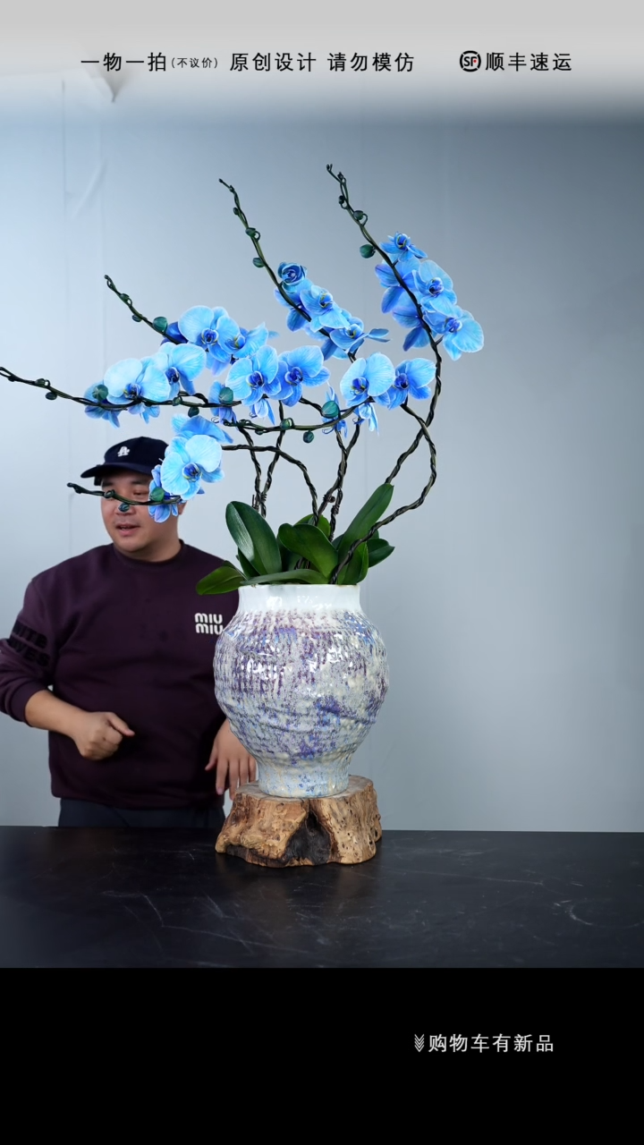 【闪购商品】028号链接【一物一拍】艺术盆景