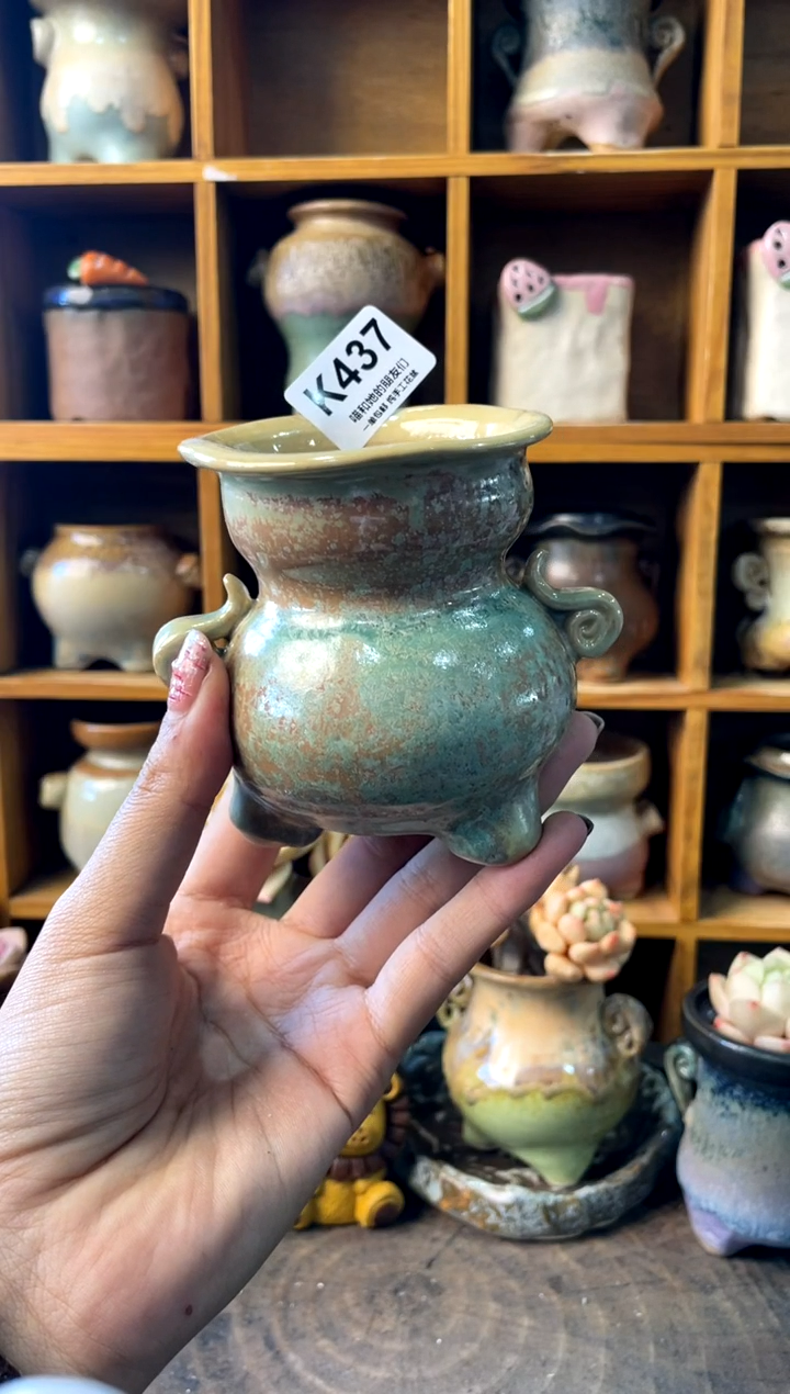 茉*437【多肉花盆多肉盆】