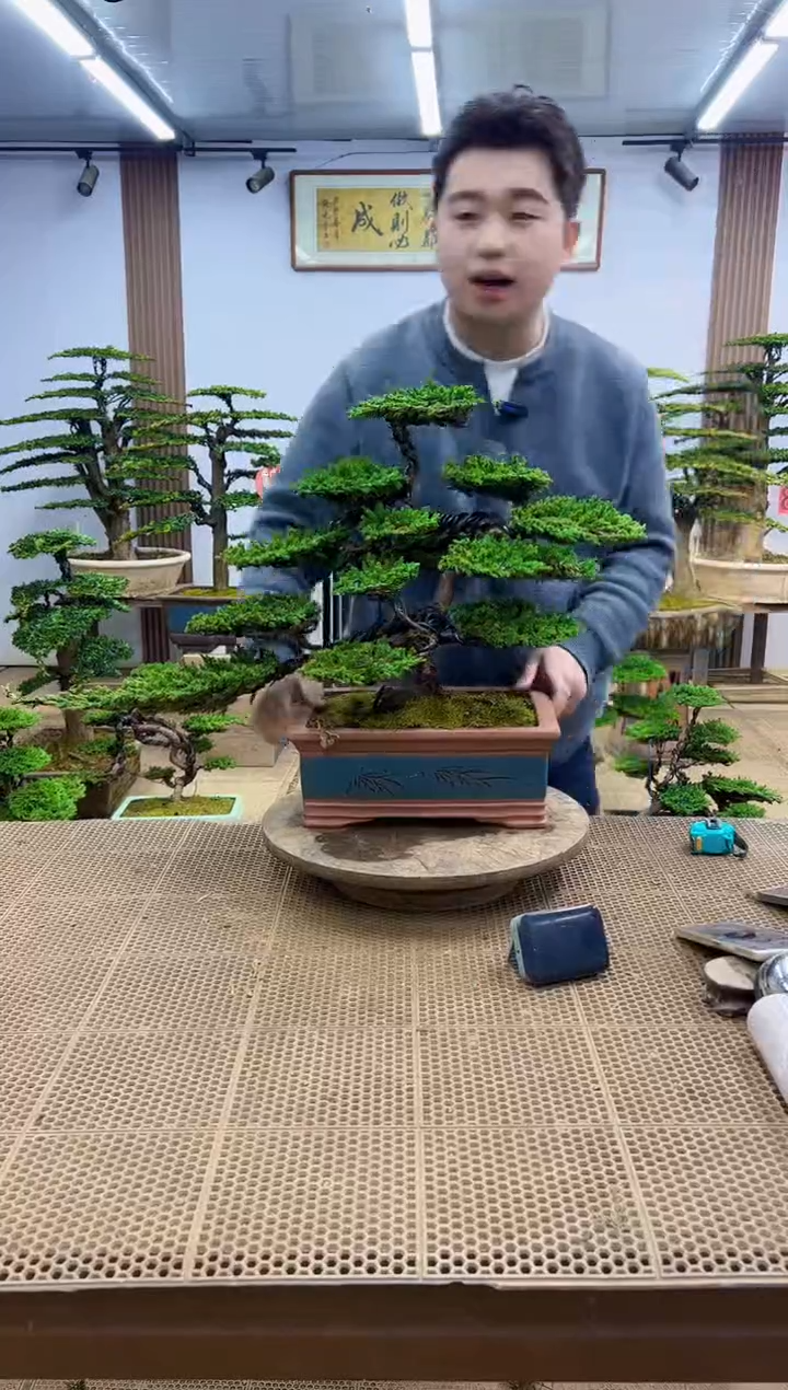 无花朵000000000000000000000