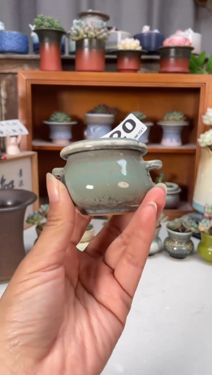 瓷片320知木小芳花盆