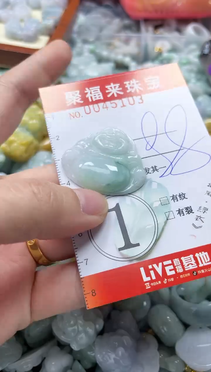 【闪购商品】翡翠颈饰未镶嵌闪购0045103