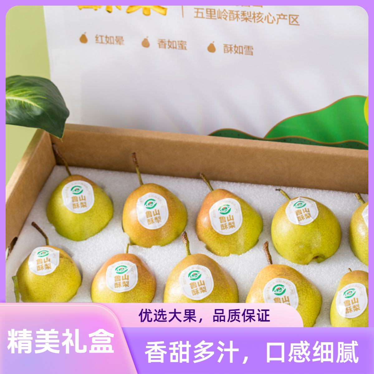 酥梨礼盒高山种植红香酥梨脆甜多汁甜梨礼盒装送礼佳品