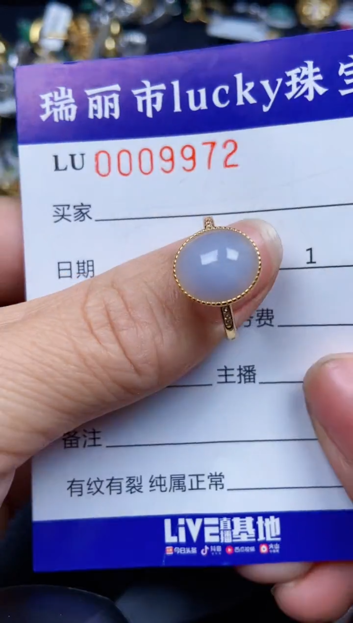 【闪购商品】翡翠颈饰银S925镶嵌9972