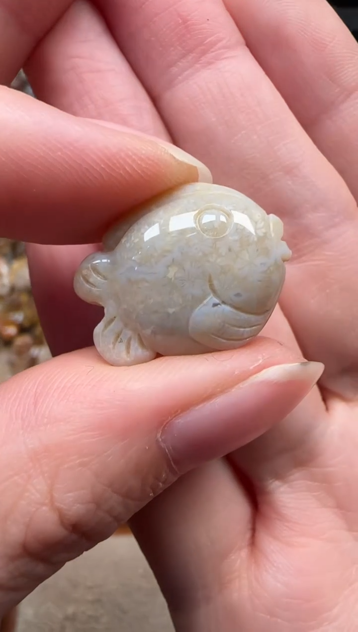 颈饰未镶嵌硅化珊瑚（珊瑚玉）026