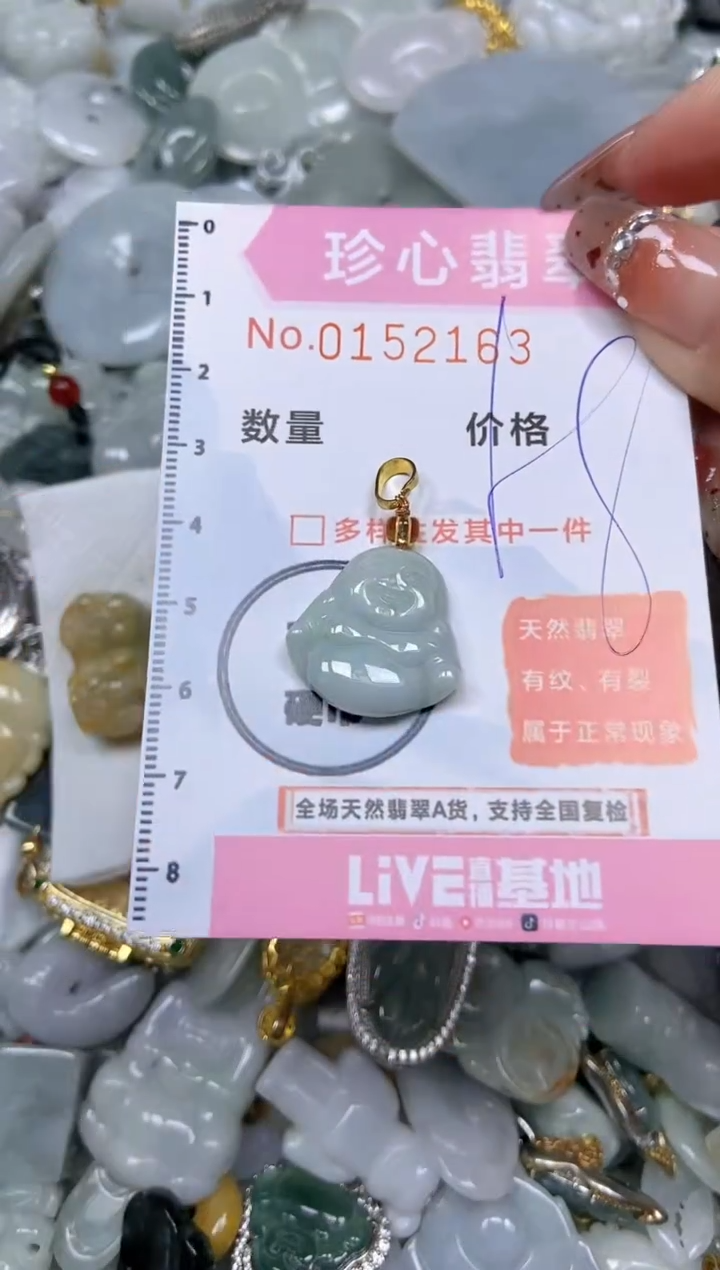 【闪购商品】翡翠颈饰未镶嵌闪购链接0152163