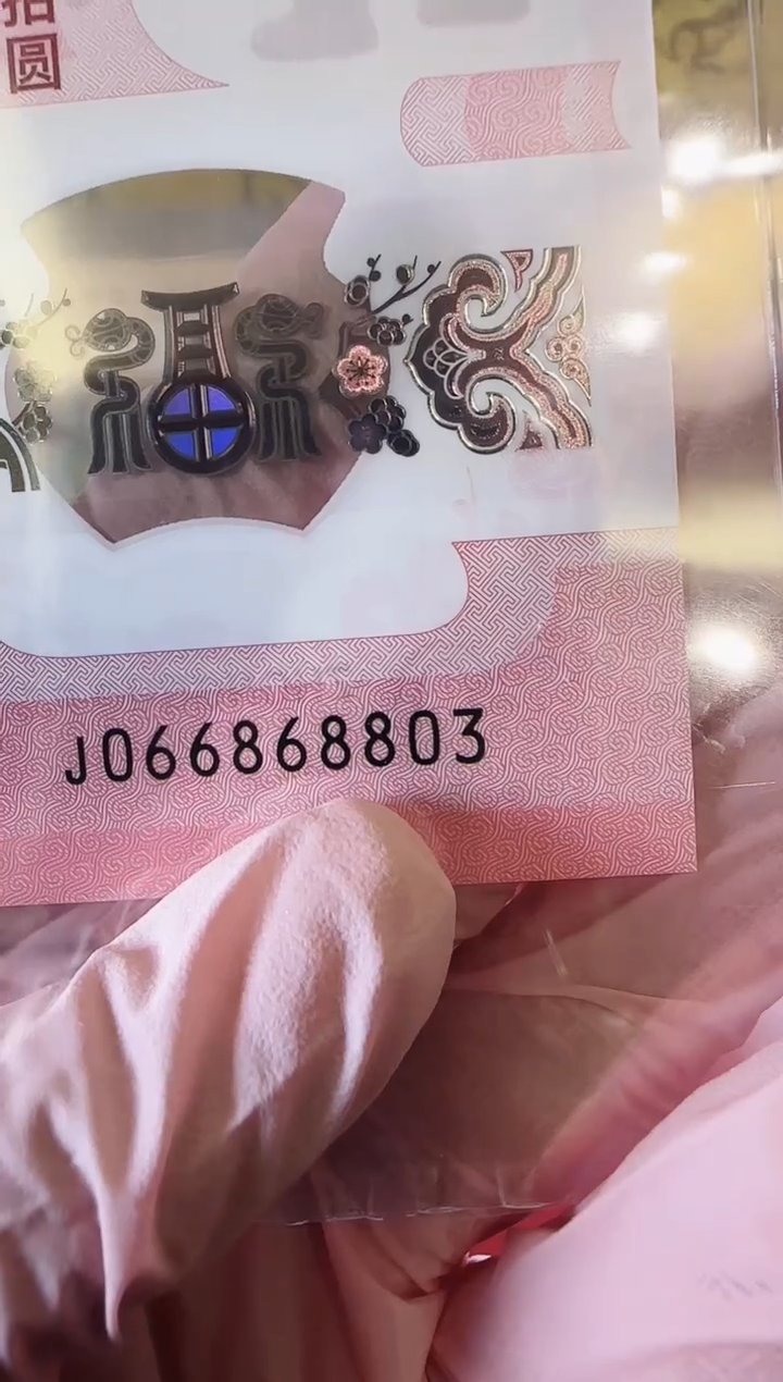 【闪购商品】塑料2025蛇钞单张裸啊啊啊啊