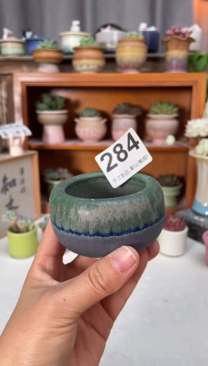 瓷片284小芳直播编号