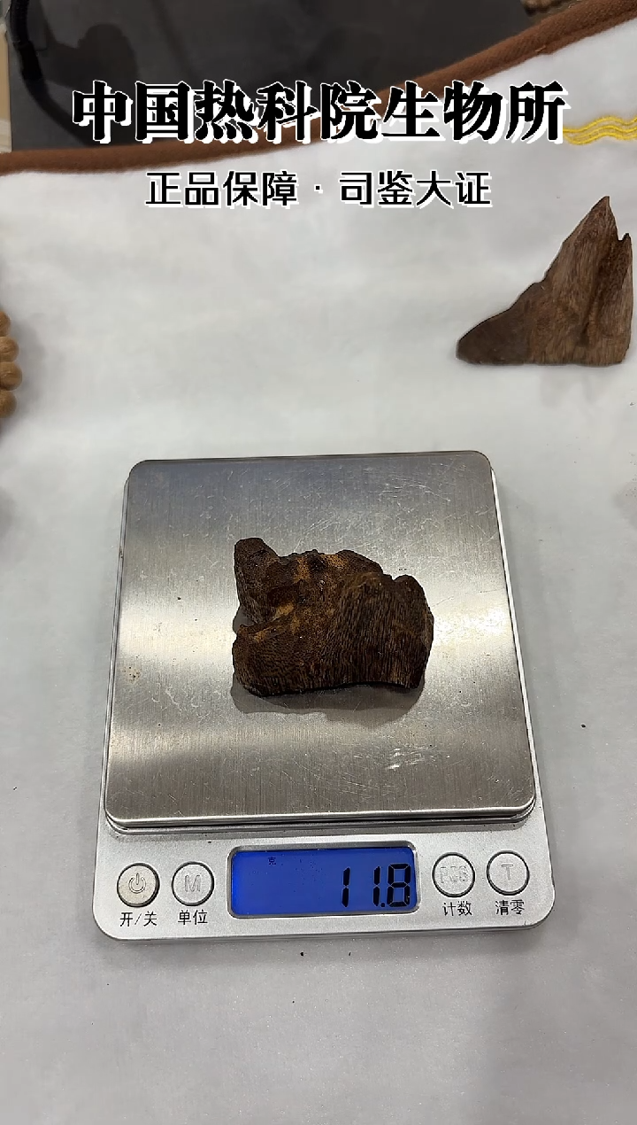 沉香摆件随形摆件 11g