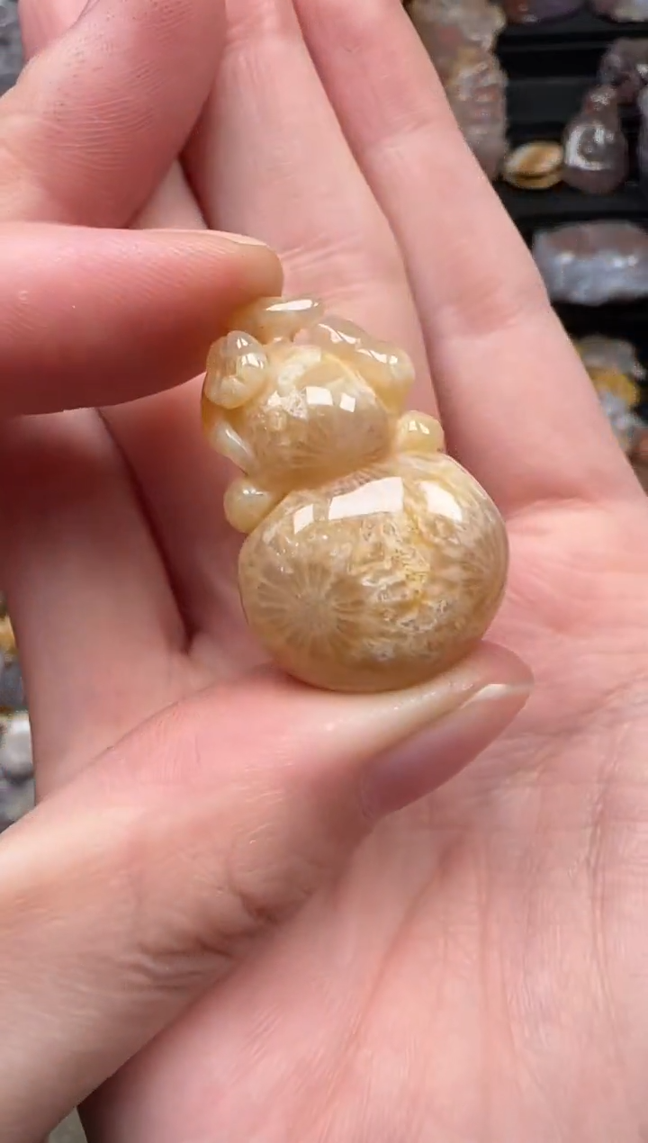 颈饰未镶嵌硅化珊瑚（珊瑚玉）185