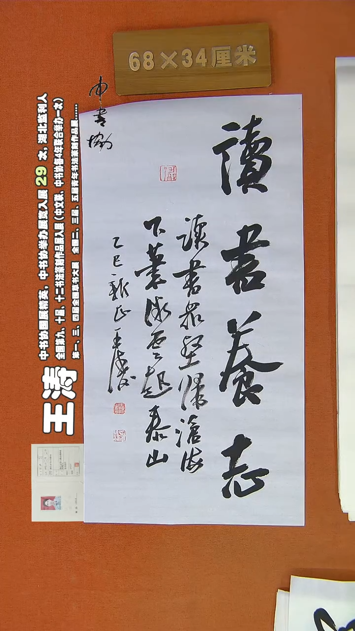 【闪购商品】书法664王涛书法作品