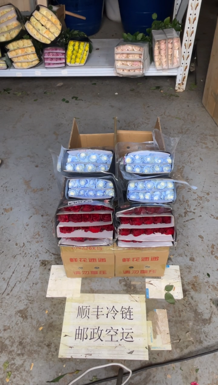 高原红20枝+碎冰蓝20枝