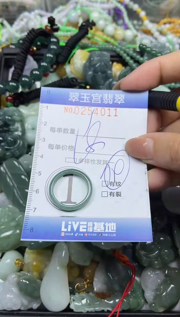 颈饰未镶嵌翡翠闪购C0254011