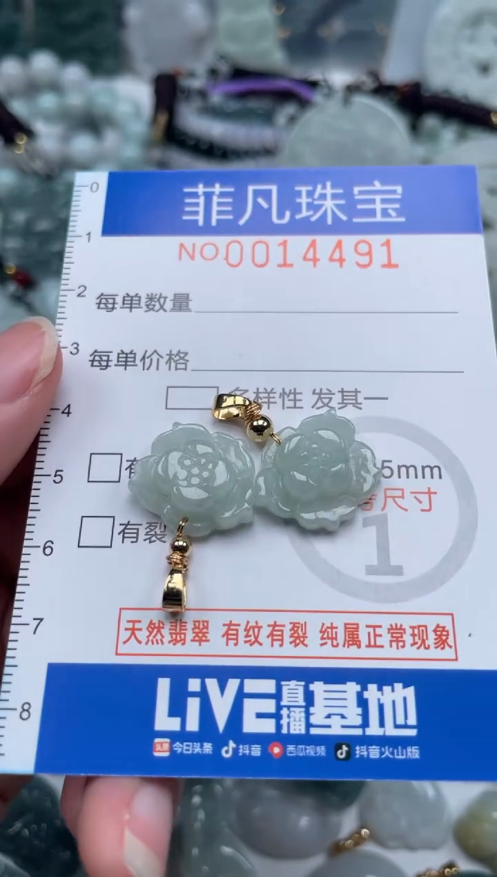 颈饰未镶嵌翡翠14491