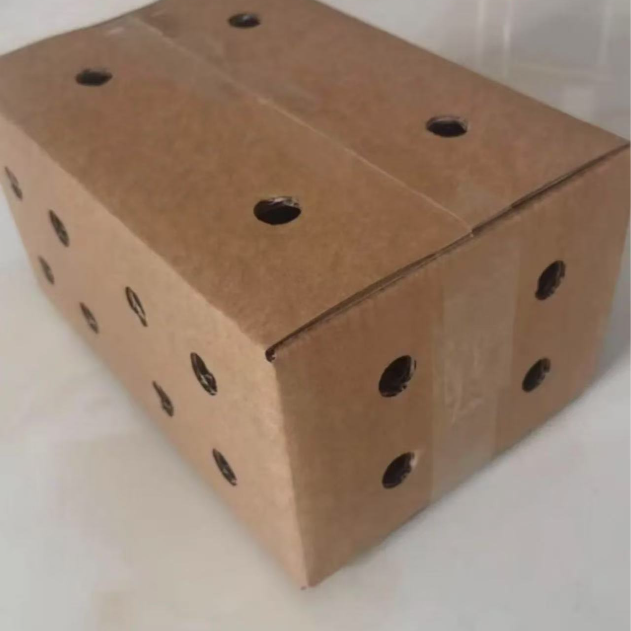 顺丰包邮（青年金芦花4个）快递收纳箱