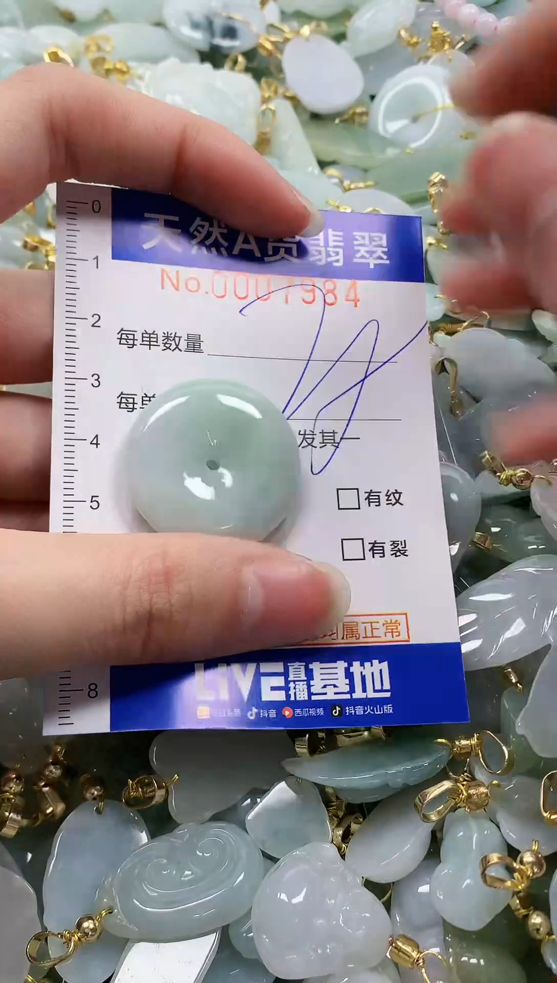 颈饰未镶嵌翡翠纯天然a货翡翠