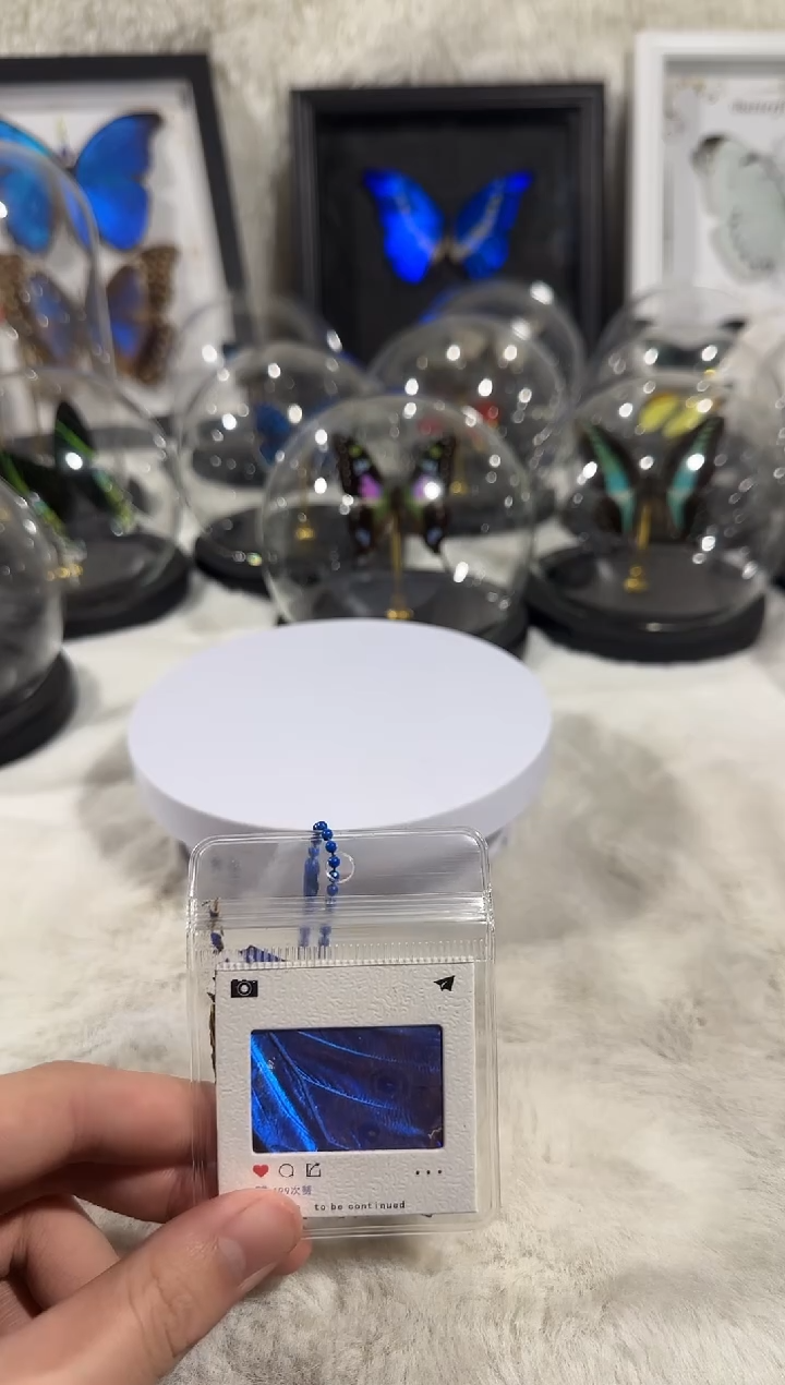 木大蓝翅膀钥匙扣