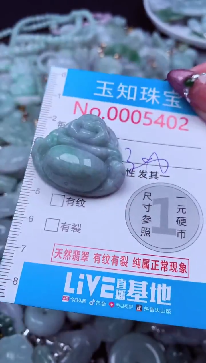 吊坠(不含链)未镶嵌翡翠5402