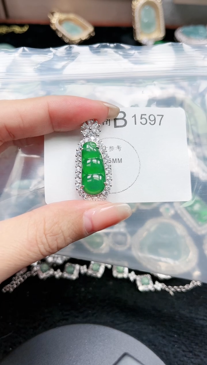 【闪购商品】翡翠颈饰未镶嵌赠皮绳1597