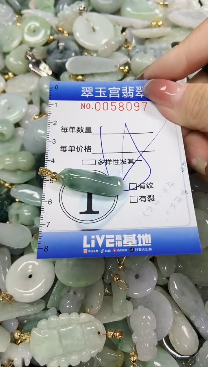 【闪购商品】翡翠颈饰未镶嵌闪购0058097