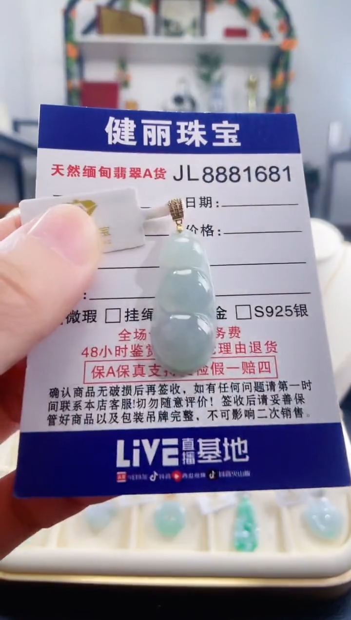 颈饰18K金镶嵌翡翠天然缅甸翡翠 富贵豆(一物一证)+银链