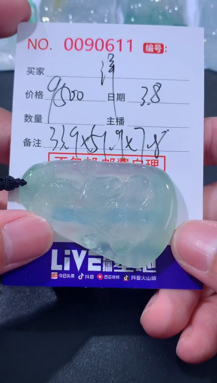 【闪购商品】翡翠颈饰未镶嵌洋