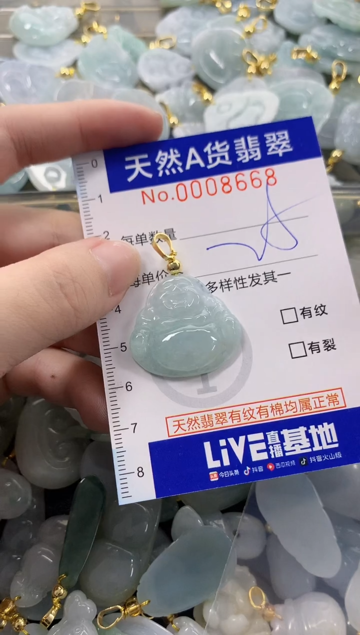 颈饰未镶嵌翡翠天然A货翡翠