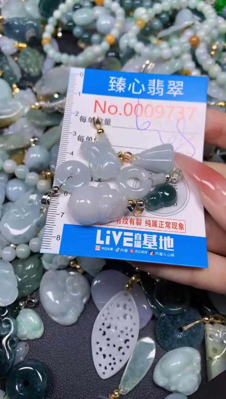 【闪购商品】翡翠颈饰未镶嵌含绳0009737