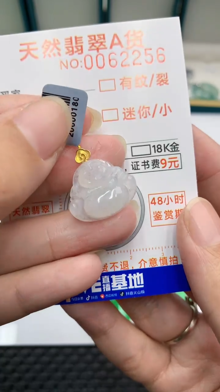 【闪购商品】翡翠颈饰18K金镶嵌            8