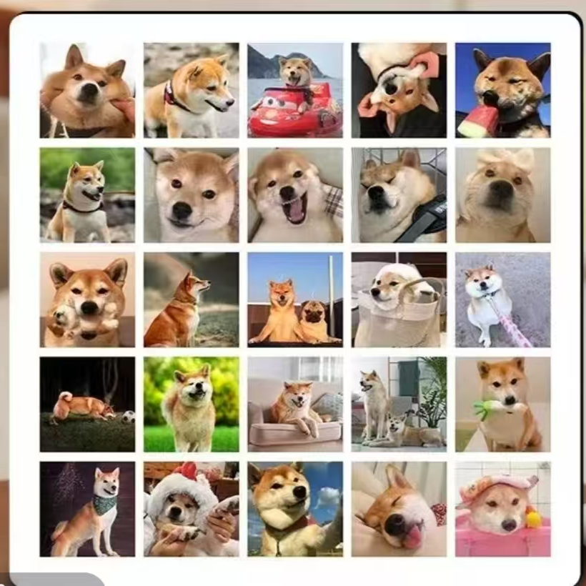 宠物狗狗相册（一号链接）