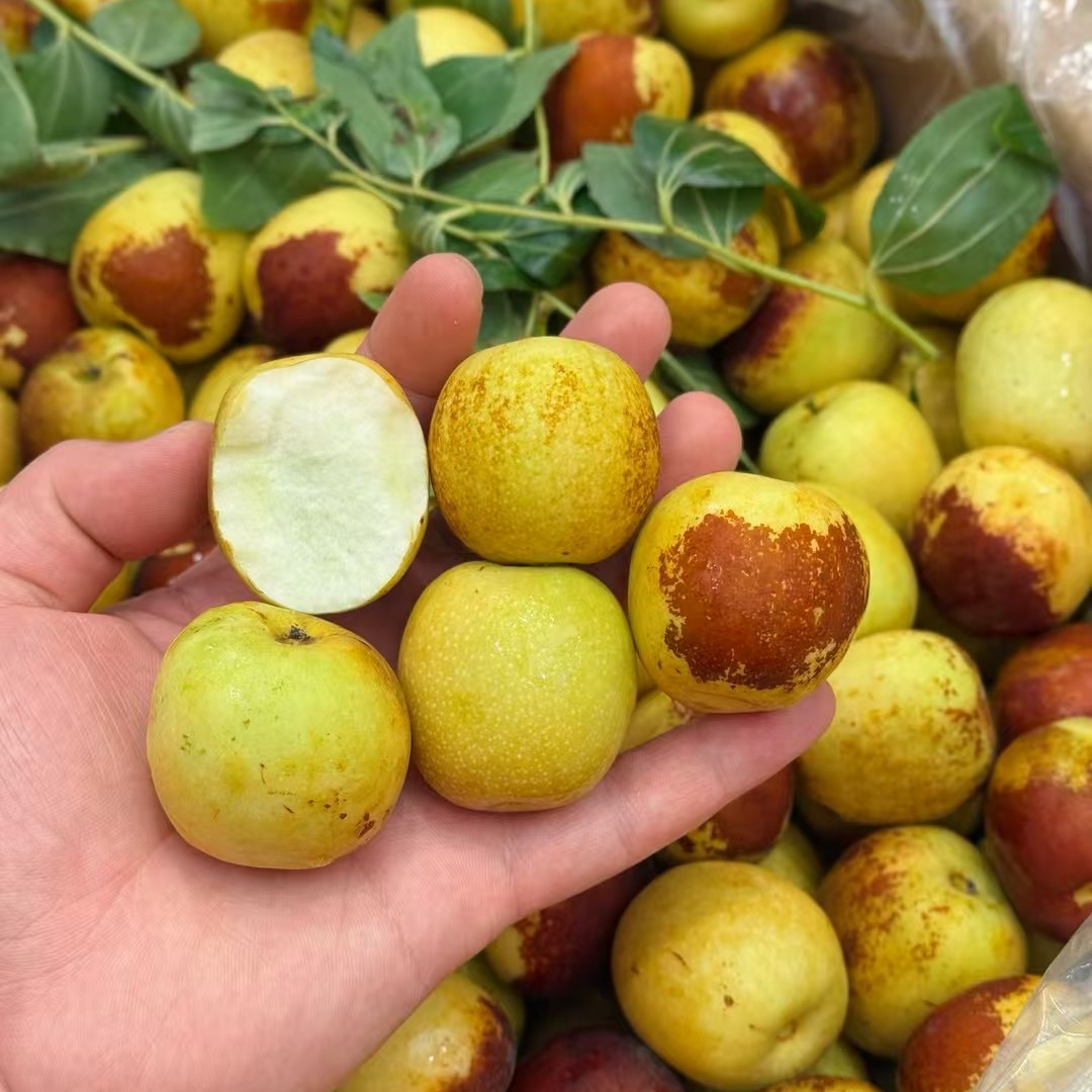 大荔冬枣9.9元/斤