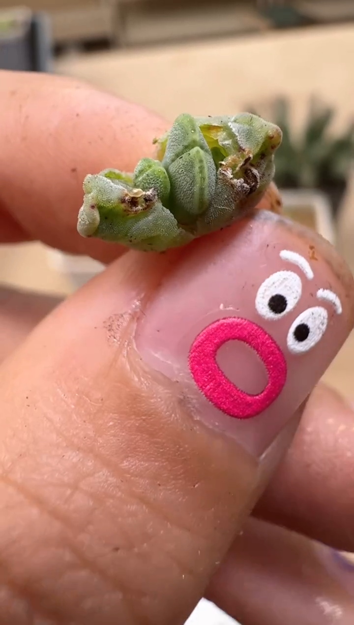 【闪购商品】16-41