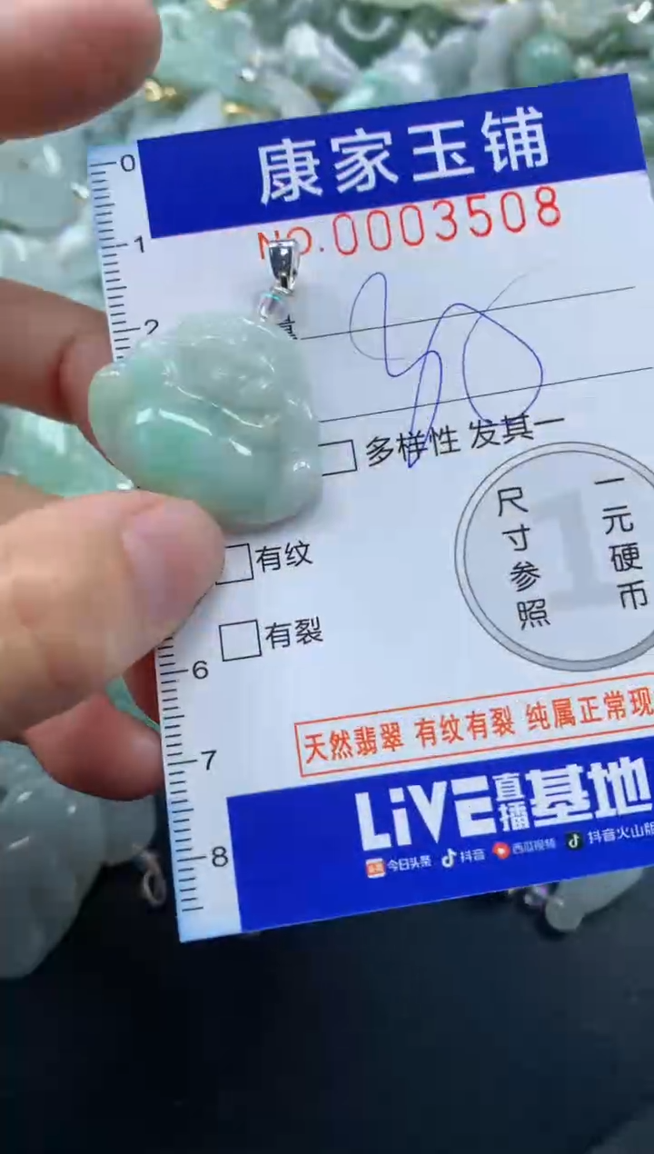 颈饰未镶嵌翡翠3508