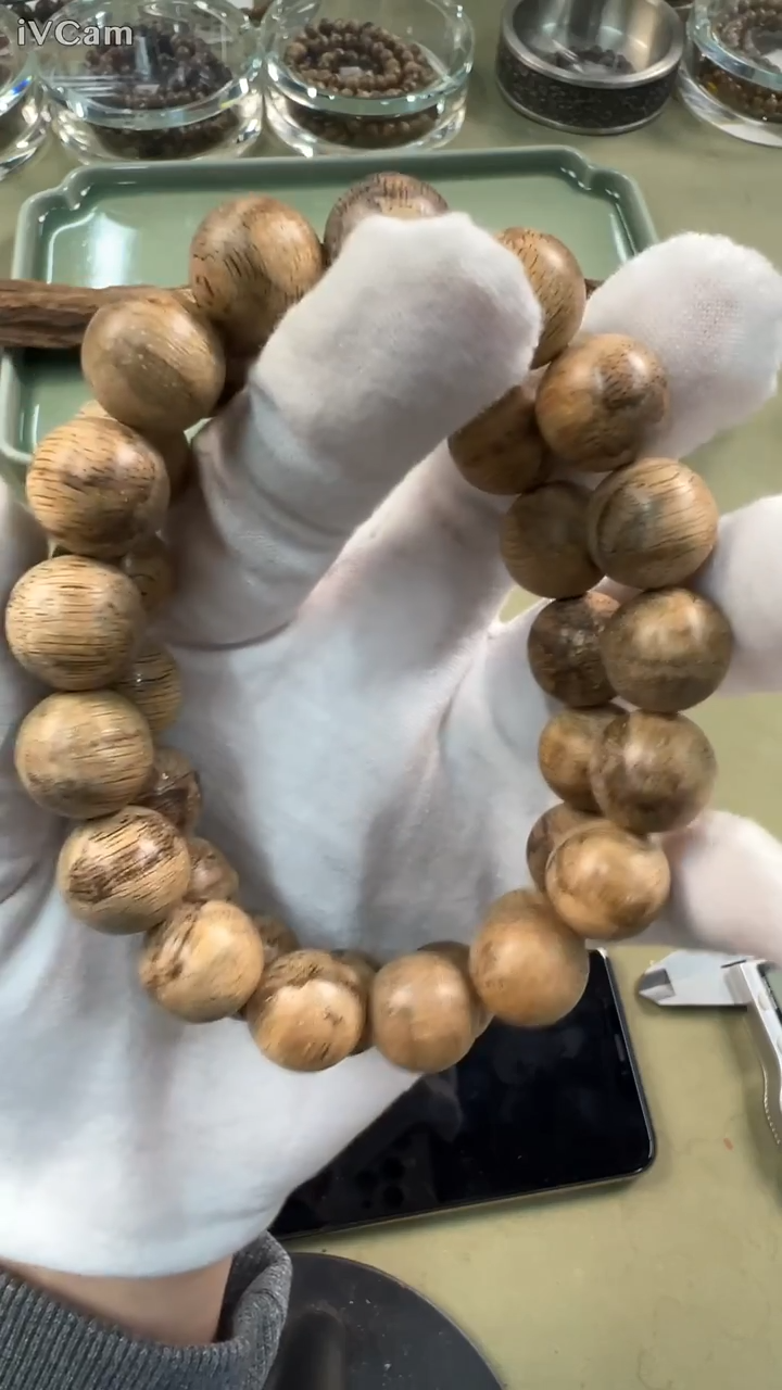 虎斑伽罗香皇13mm单圈多样性发其一