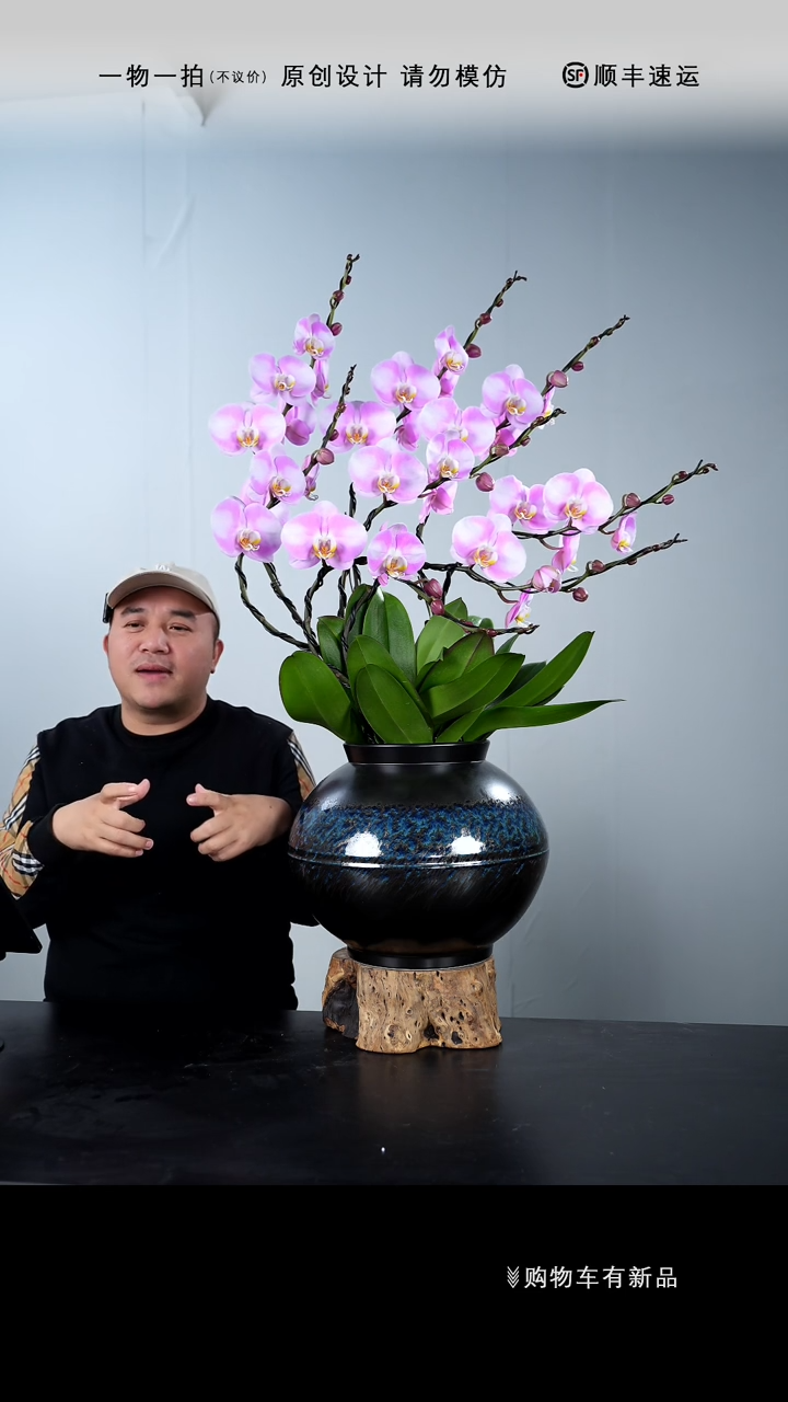 【闪购商品】095号链接【一物一拍】艺术盆景